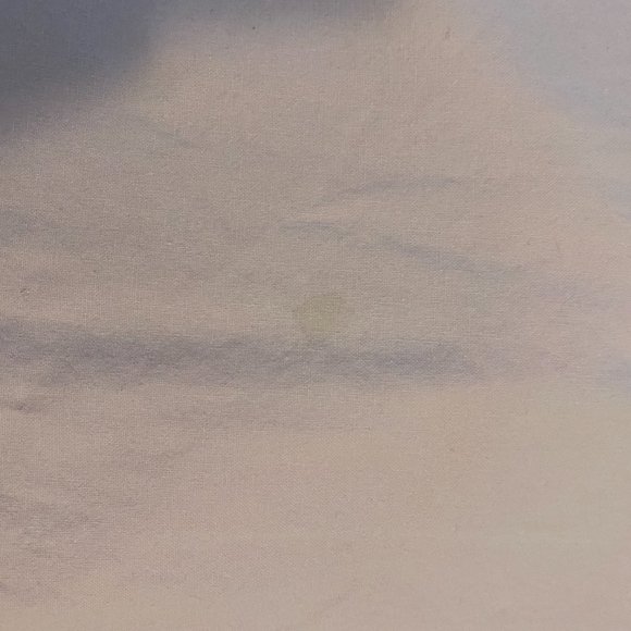 Vintage Pink Skirt - Picture 7 of 12